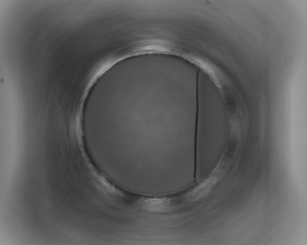 X0000112351373200909101034