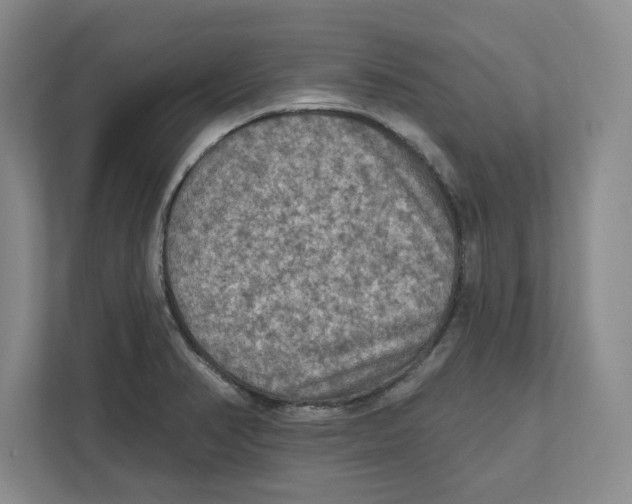 X0000112351374200909101034