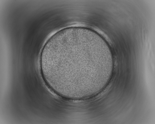 X0000112351375200909101034