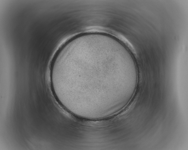 X0000112351376200909101034