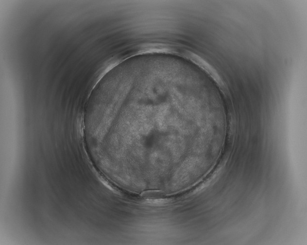 X0000112351377200909101034