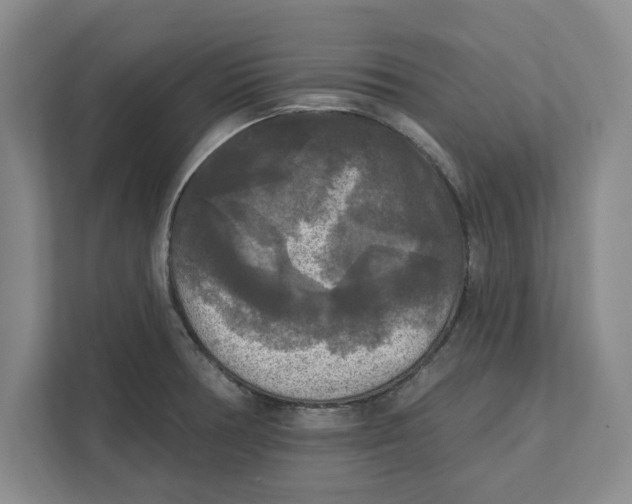 X0000112351378200909101034