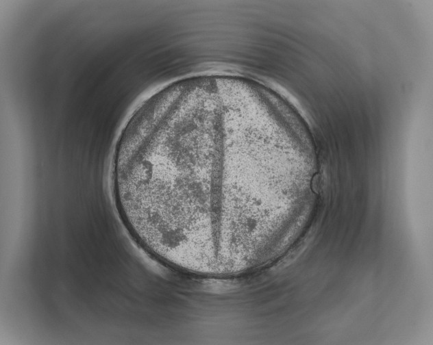 X0000112351379200909101034