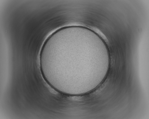 X0000112351380200909101034