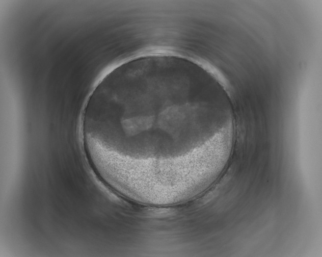 X0000112351382200909101034