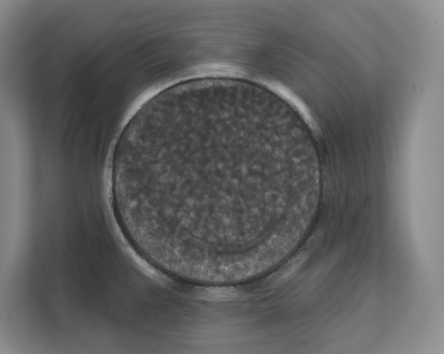 X0000112351383200909101034