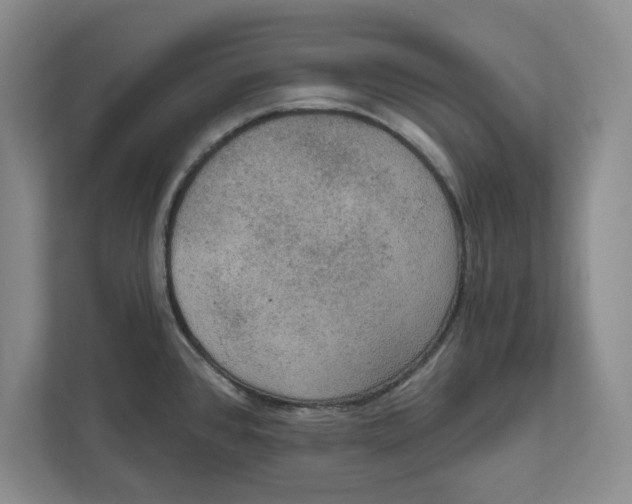 X0000112351384200909101034