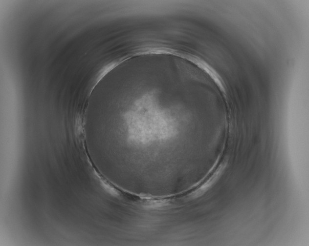 X0000112351385200909101034