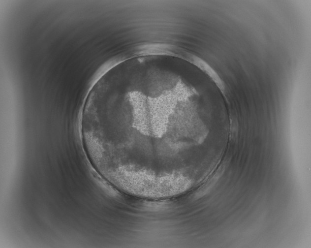 X0000112351386200909101034