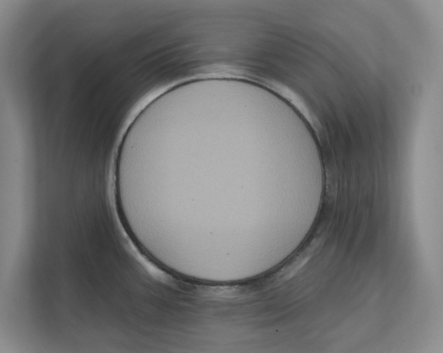 X0000112351387200909101034