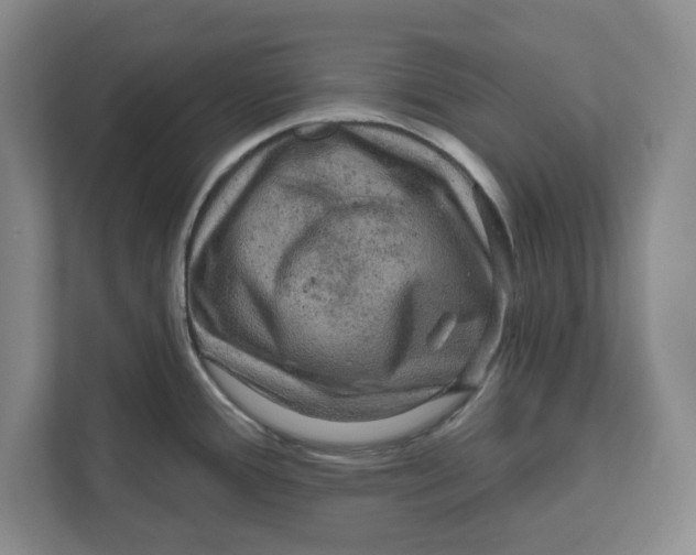 X0000112351388200909101034