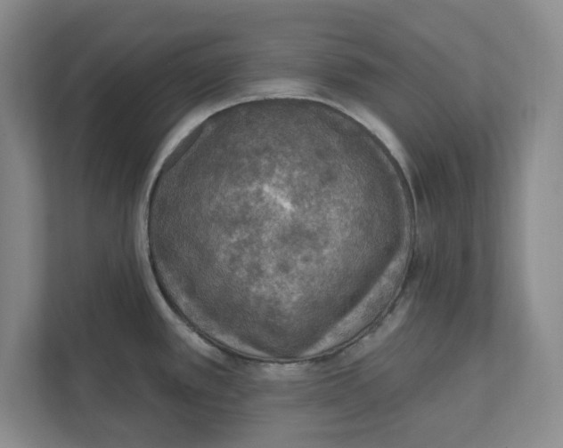 X0000112351389200909101034