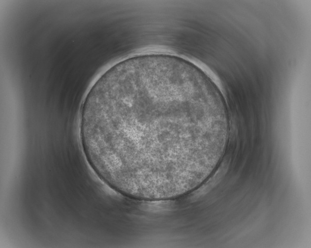 X0000112351390200909101034