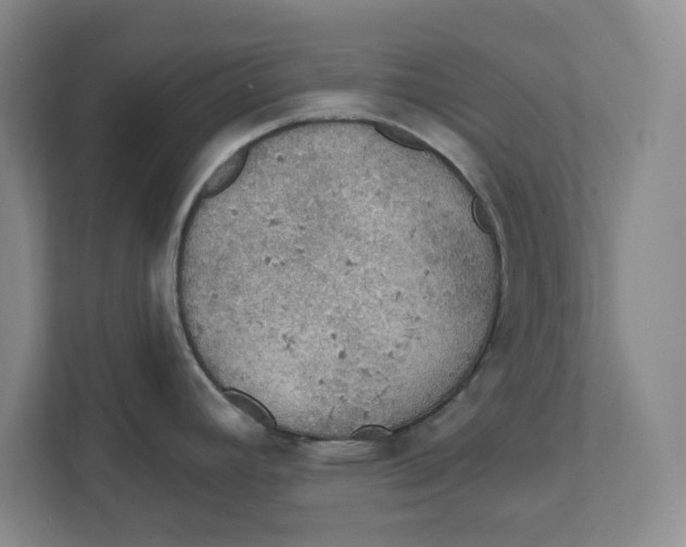 X0000112351392200909101034