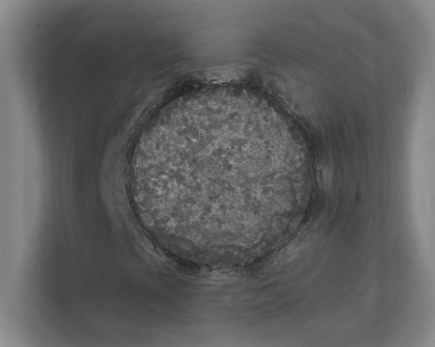 X0000112351393200909101033