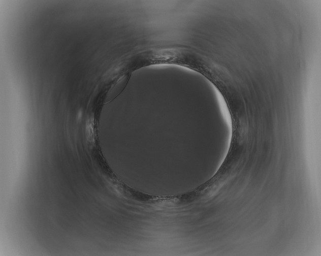 X0000112351394200909101033