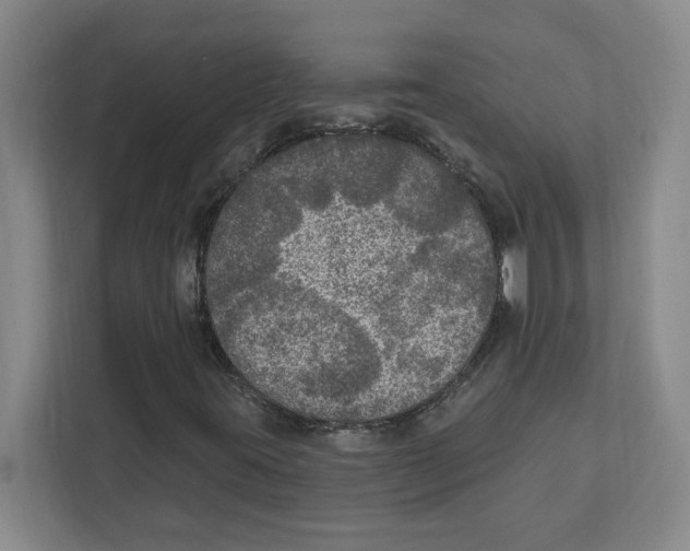 X0000112351395200909101033