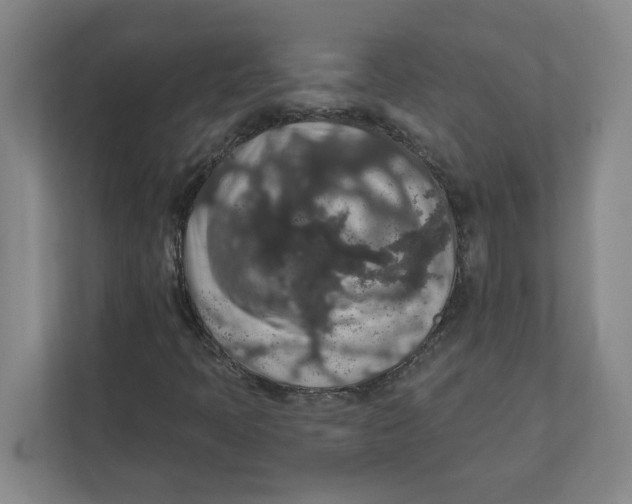 X0000112351397200909101034