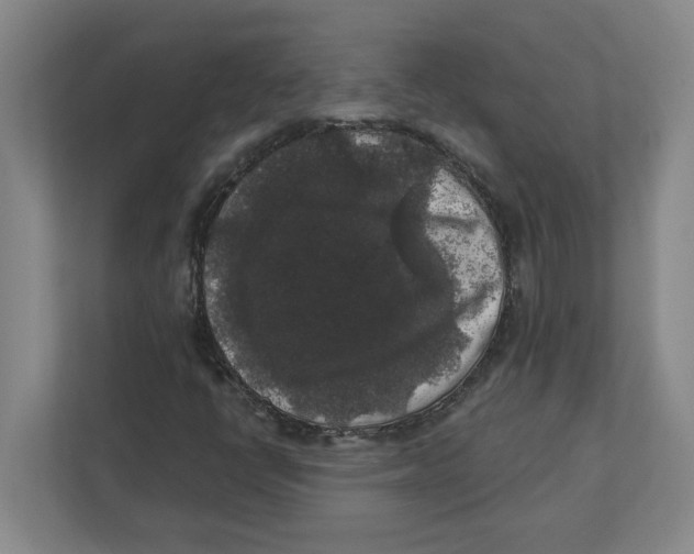 X0000112351398200909101034