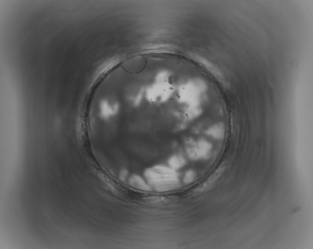 X0000112351405200909101034