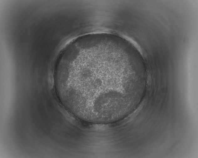 X0000112351407200909101034