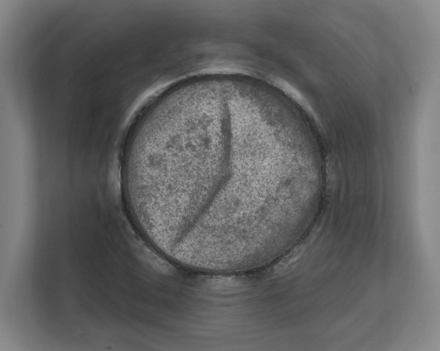 X0000112351408200909101034