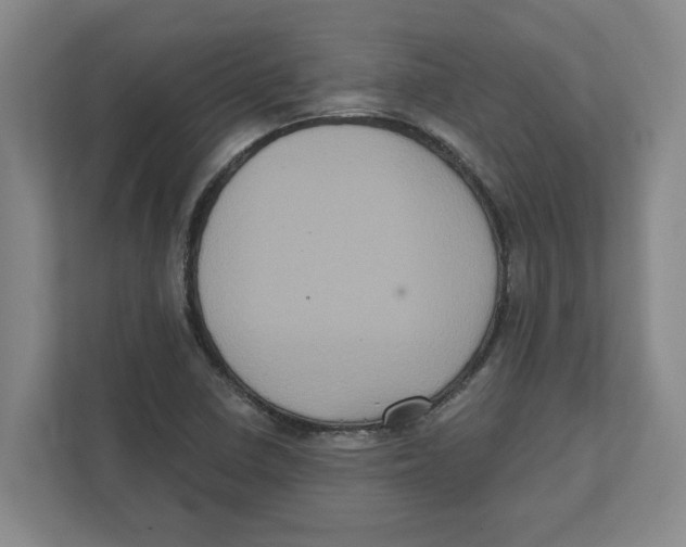 X0000112351410200909101034