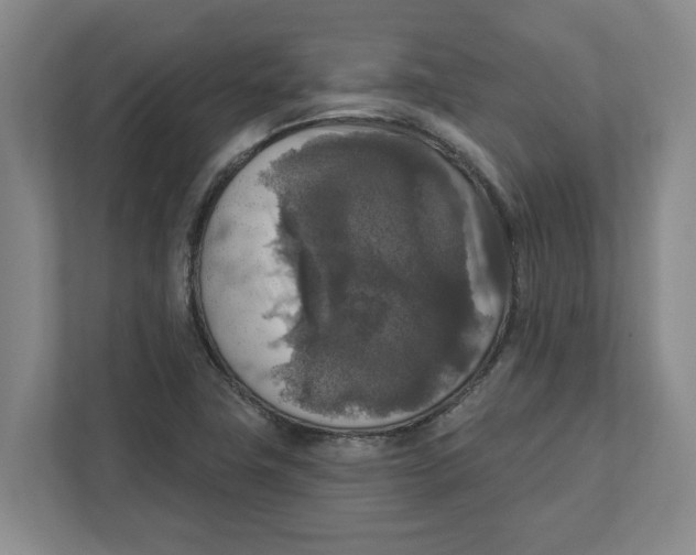 X0000112351411200909101034