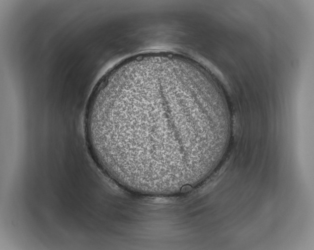 X0000112351412200909101034