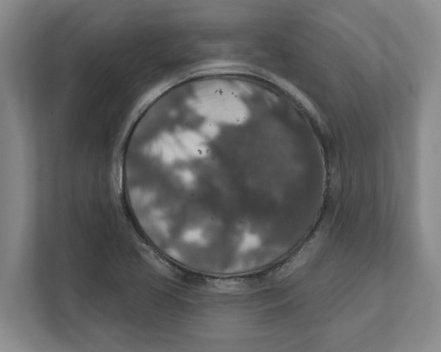 X0000112351413200909101034