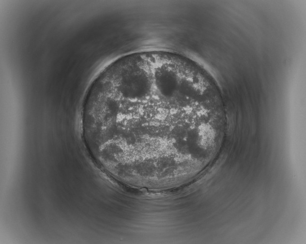 X0000112351415200909101034