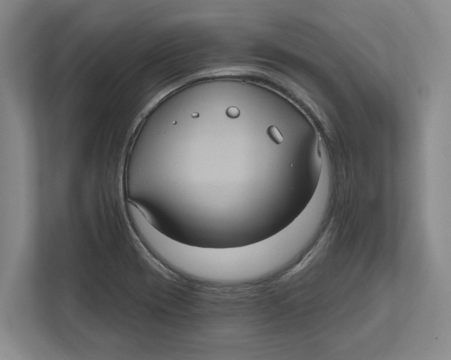 X0000112351417200909101034