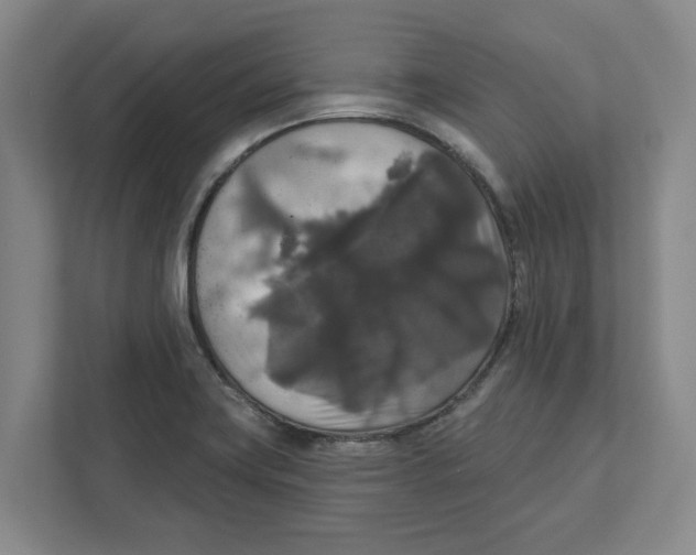 X0000112351419200909101034