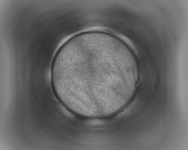 X0000112351420200909101034