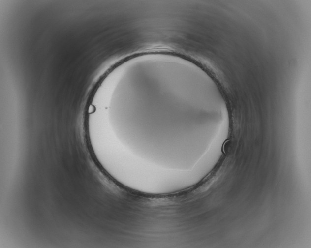 X0000112351422200909101034