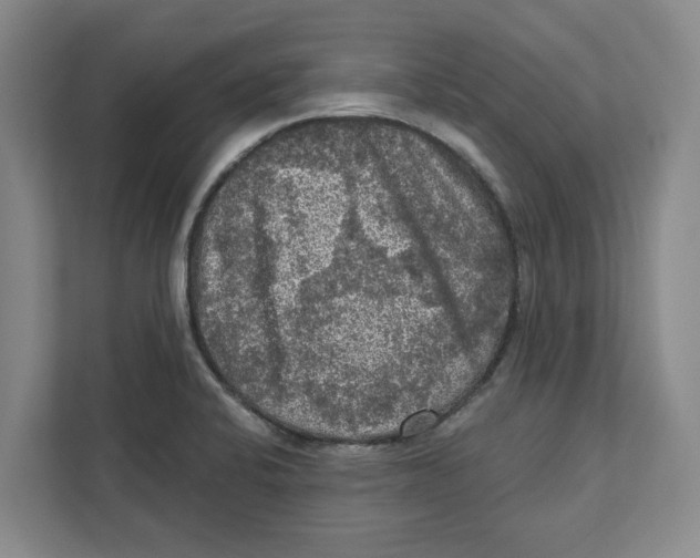 X0000112351424200909101034