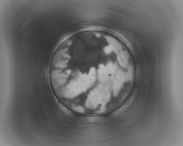 X0000112351425200909101034