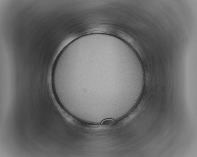 X0000112351426200909101034