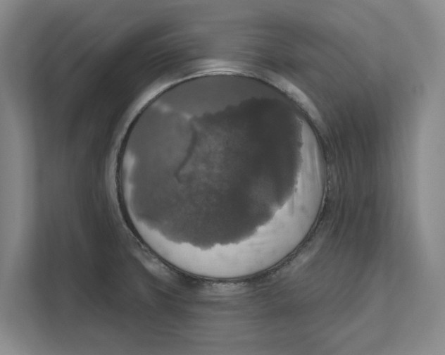 X0000112351427200909101034