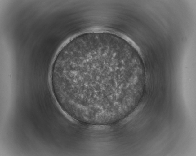 X0000112351429200909101034