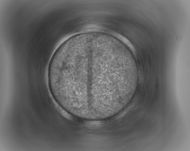 X0000112351431200909101034