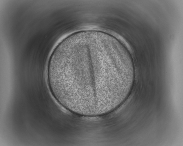 X0000112351432200909101034