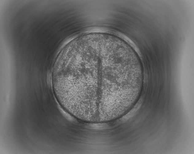 X0000112351433200909101034