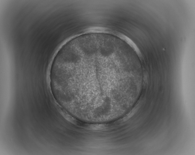 X0000112351435200909101034