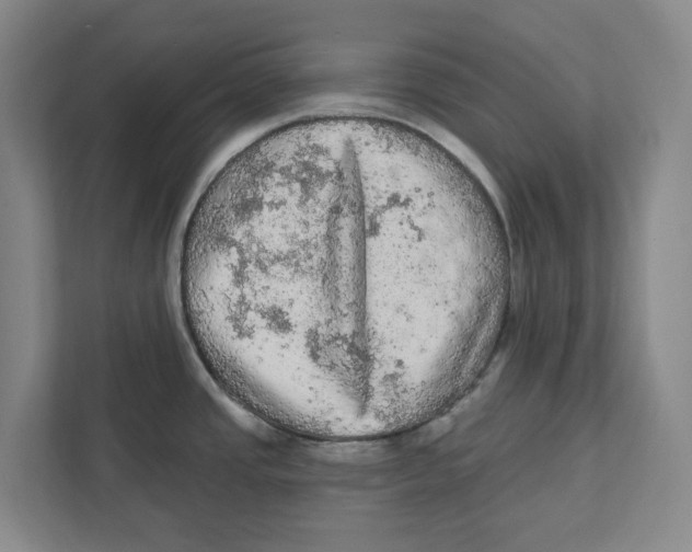 X0000112351437200909101034