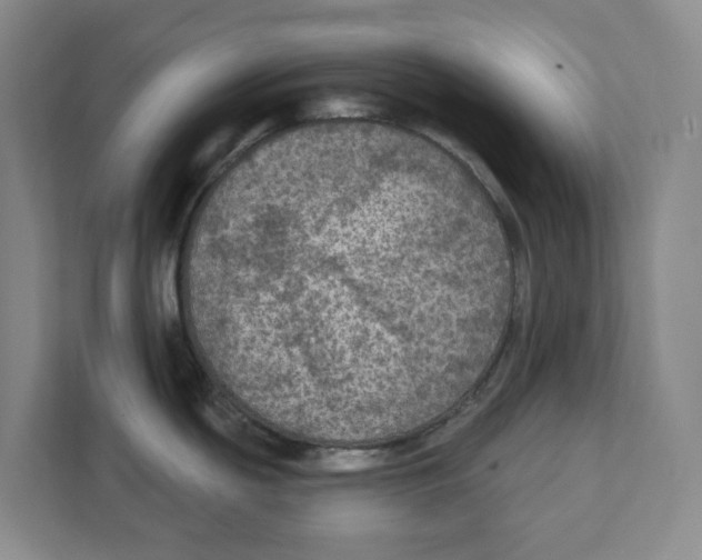 X0000112351439200909101034