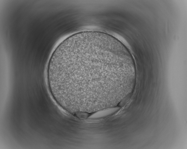 X0000112351440200909101034