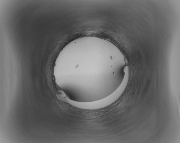 X0000112351441200909101033