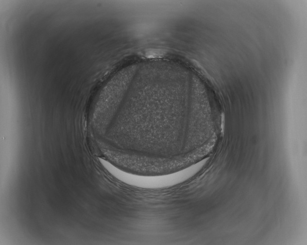 X0000112351443200909101033