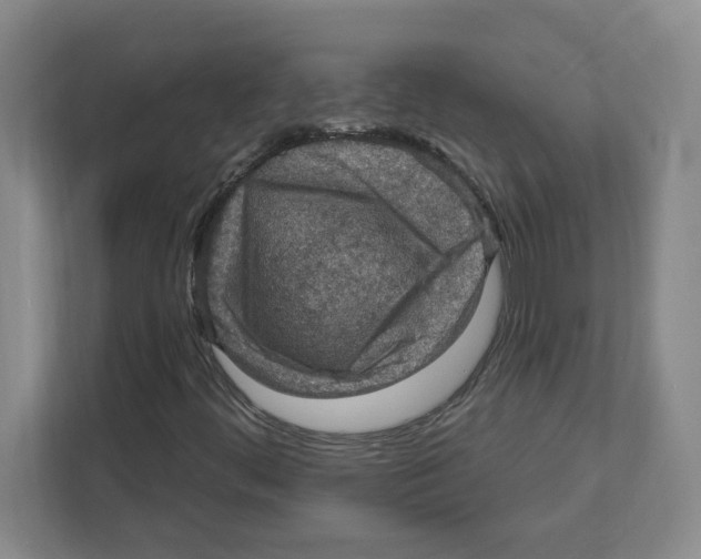 X0000112351444200909101033